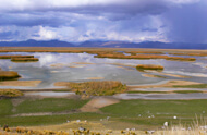 Junin Lake by Mike Parr