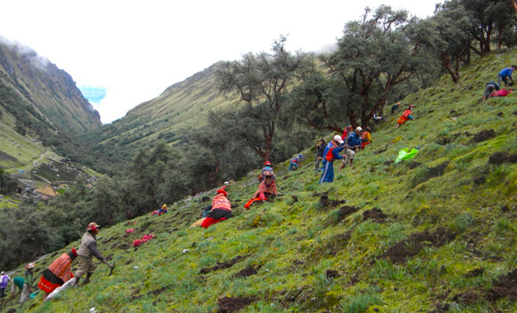 Planting Trees by Gregorio Ferro Meza of ECOAN