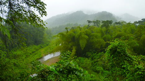 Ayampe Reserve