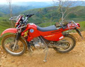 With support from ABC, Asociación Armonía bought a Honda motorcycle for Ferrufino to use in his field work. We love the ABC sticker on the back! Photo by W. Ferrufino