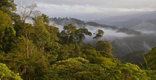 The highlands of northern Nicaragua, a productive shade coffee-growing region and refuge for migratory birds in winter. Photo by Scott Weidensaul.