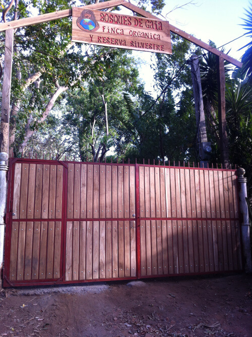 entrance gate gaia