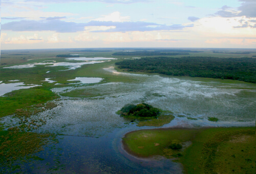 The Rio Omi winds through the flooded grasslands and palm islands that make up the Barba Azul Reserve. Photo by Benjamin Skolnik, ABC.