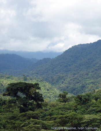 Narupa Reserve by Ivan Samuels