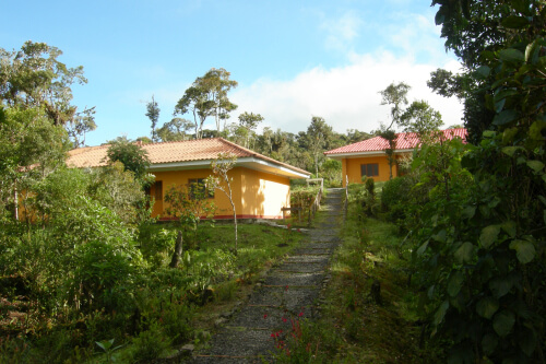 Owlet Lodge, Abra Patricia Reserve. Photo by Dan Lebbin