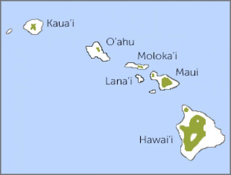 ʻIʻiwi - American Bird Conservancy