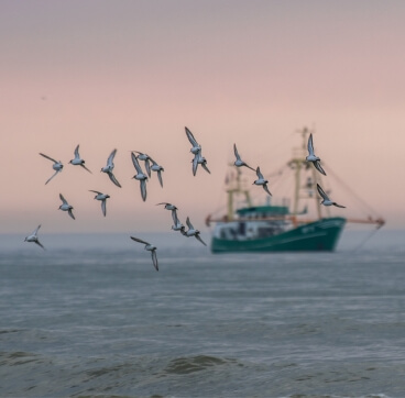 Fishing boat by Daniela Schroeder/Shutterstock