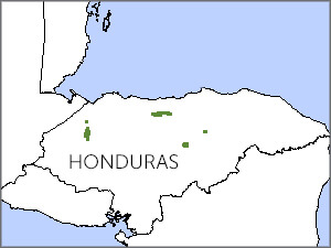 Honduran Emerald map, ABC