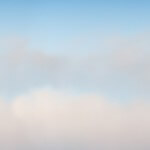 Waved Albatross, photoiconix/Shutterstock