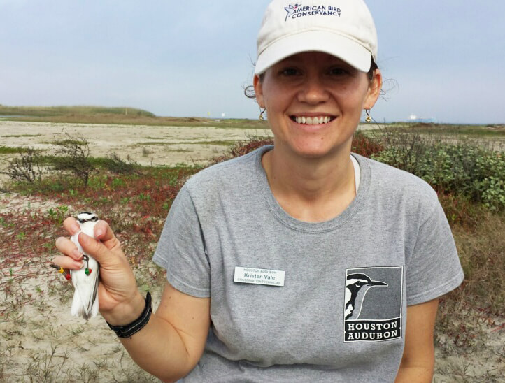 Houston Audubon is a leading conservation force in this area. Conservation Technician Kristen Vale had just banded Snowy Plovers on nearby East Beach—a joint effort with American Bird Conservancy's "Save Gulf Birds" program. Photo by Aditi Desai.