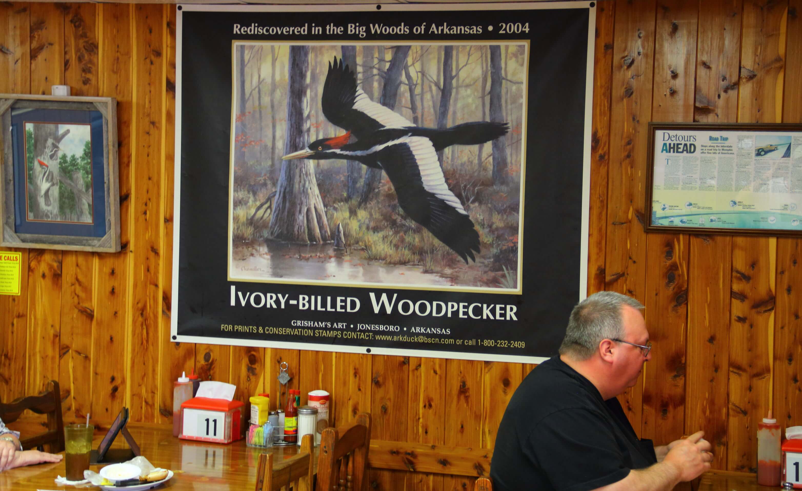 A 2004 sighting of the Ivory-billed Woodpecker in the Cache River National Wildlife Refuge was big news in nearby Brinkley, Ark., where the bird's likeness features prominently in local establishments like Gene's Restaurant. Photo by Bruce Beehler