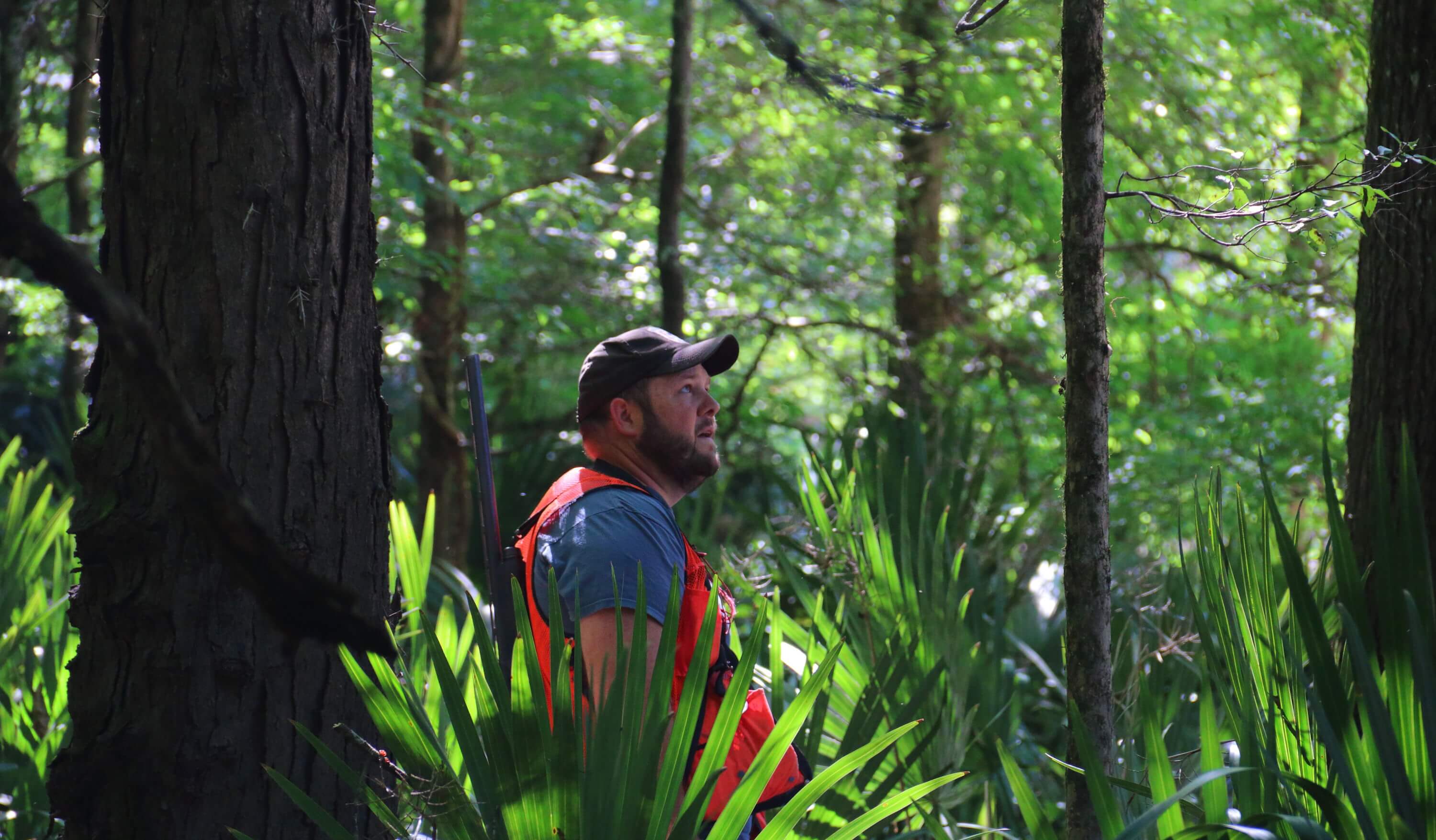 I explored McGill Bend Forest with Nathan Renick, forester for Tensas River National Wildlife Refuge in Louisiana. Tensas is home to one of the wildest patches of forest in the South. Photo by Bruce Beehler.