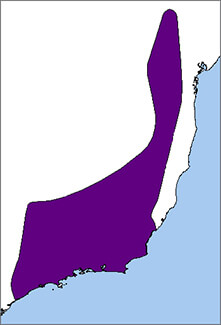 Gilt-edged Tanager map, NatureServe