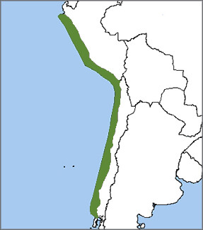 Inca Tern map, NatureServe