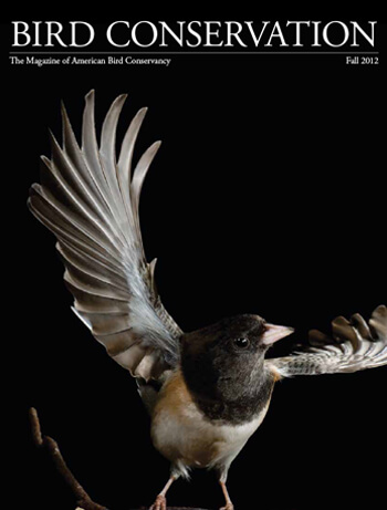 bird conservation american bird conservancy bird conservation american bird conservancy