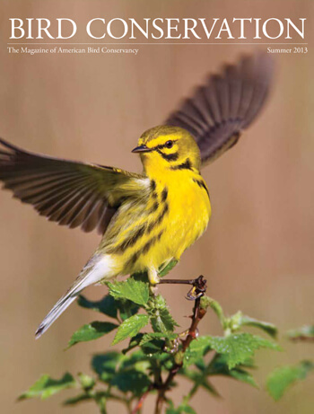 Bird Conservation - American Bird Conservancy