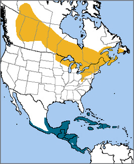 Magnolia Warbler map, NatureServe