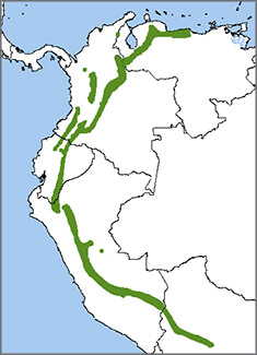 Long-tailed Sylph map, NatureServe