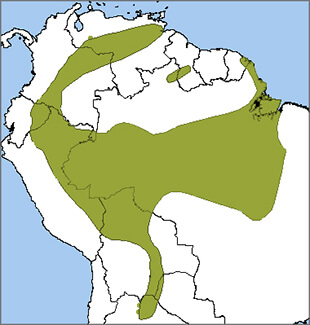 Orinoco Goose map, NatureServe