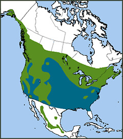 Northern Saw-whet Owl map, NatureServe
