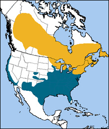 White-throated Sparrow map, NatureServe