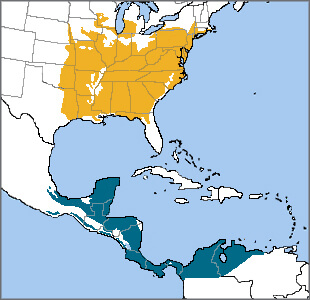 Kentucky Warbler range map, NatureServe