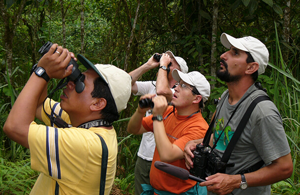 Bird Tourism in Buenaventura, Ecuador, by Mike Parr
