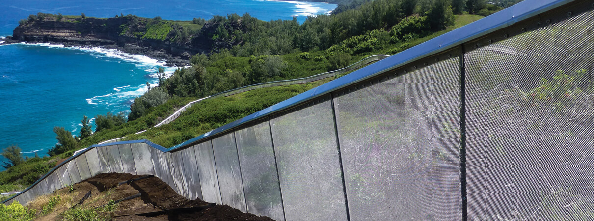A predator-proof fence makes the 7-acre enclosure at Nihoku safe for the petrels and other seabirds. Jessica Behnke