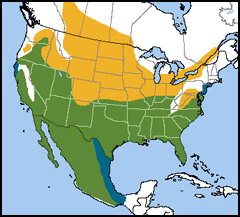 Loggerhead Shrike Map, NatureServe