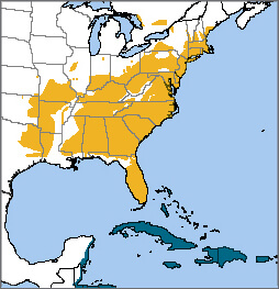 Prairie Warbler map, NatureServe