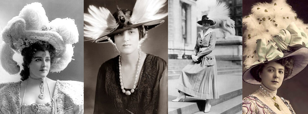 Feathered hats were all the rage among fashionistas in the late 19th and early 20th centuries, but birds paid a heavy price.