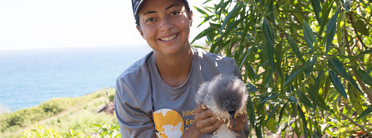 Biologist Megan Dalton of Pacific Rim Conservation holds a chick. Photo by Lindsay Young/Pacific Rim Conservation