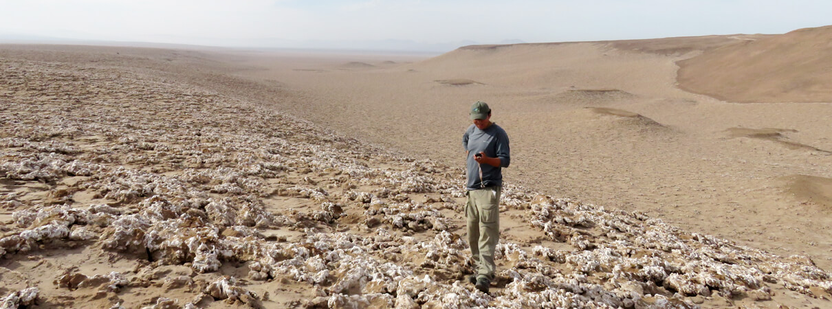 Fieldwork in progress at the Salar Grande nesting site. Photo by Heraldo Ramírez