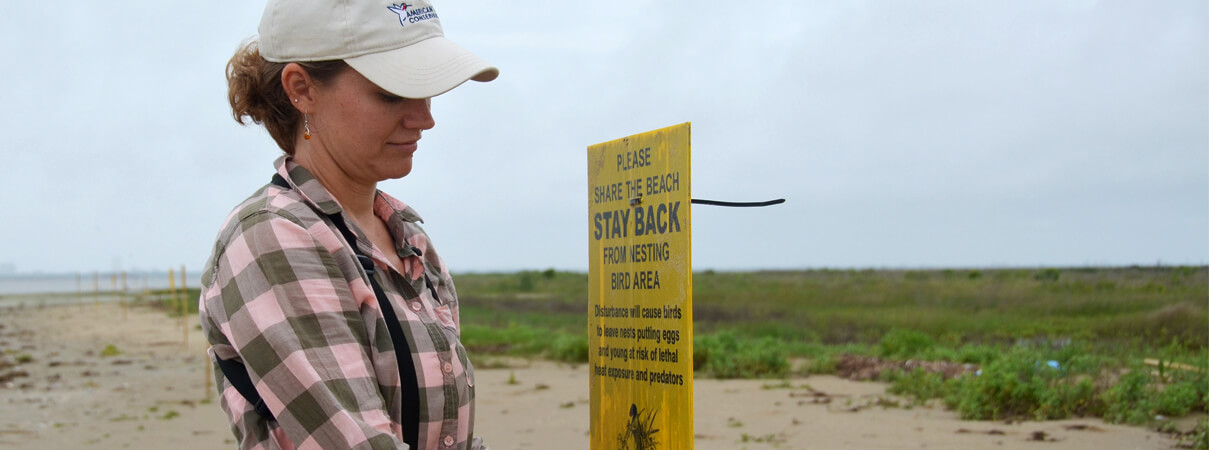 Kristen Vale, ABC's Coastal Program Coordinator for Texas, sets up a sign at the Bolivar Flats Shorebird Sanctuary in Texas. Photo by Libby Sander