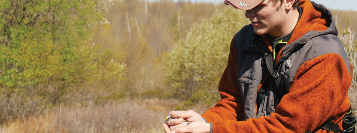 Darn James McNeil Jr. releases a Golden-winged Warbler after removing its geolocator. Photo by Aditi Desai.
