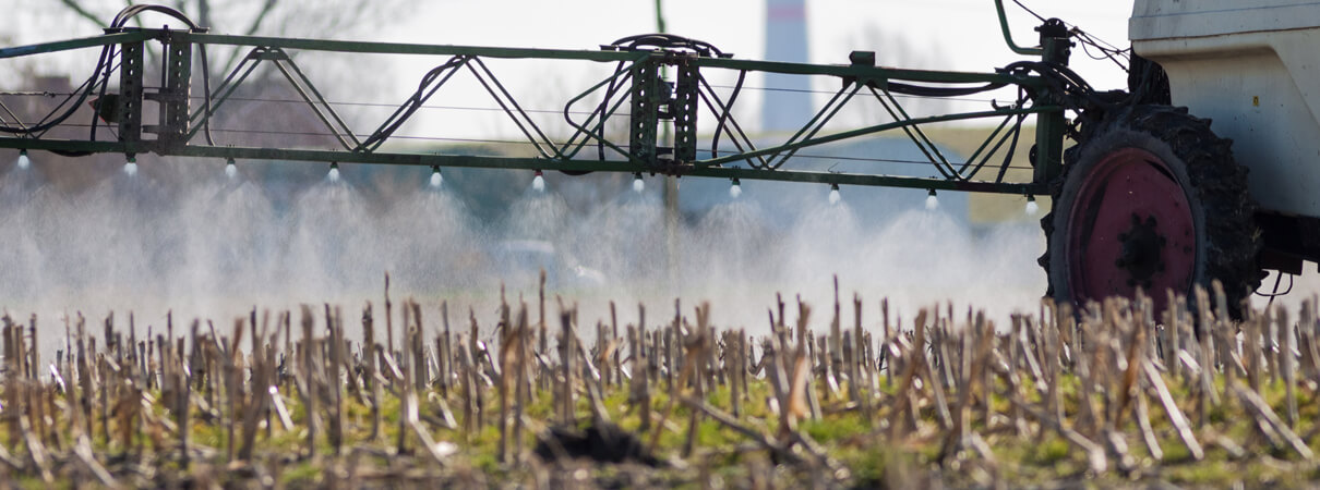 Agricultural pesticides threaten many species of birds, as well as other types of wildlife. Photo by Bildagentur Zoonar/Shutterstock