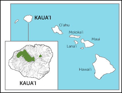 ʻAkekeʻe map, Birds of North America, birdsna.org