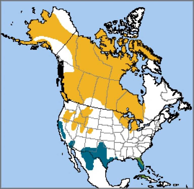 Sandhill Crane American Bird Conservancy   Sandhill Crane Map NatureServe 768x748 