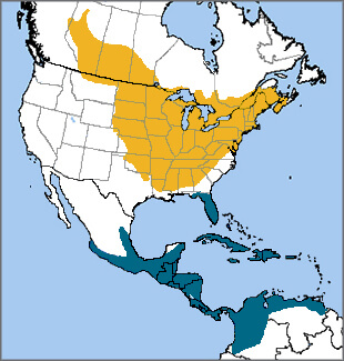 Baltimore Oriole map, NatureServe
