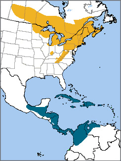 Chestnut-sided Warbler map, NatureServe
