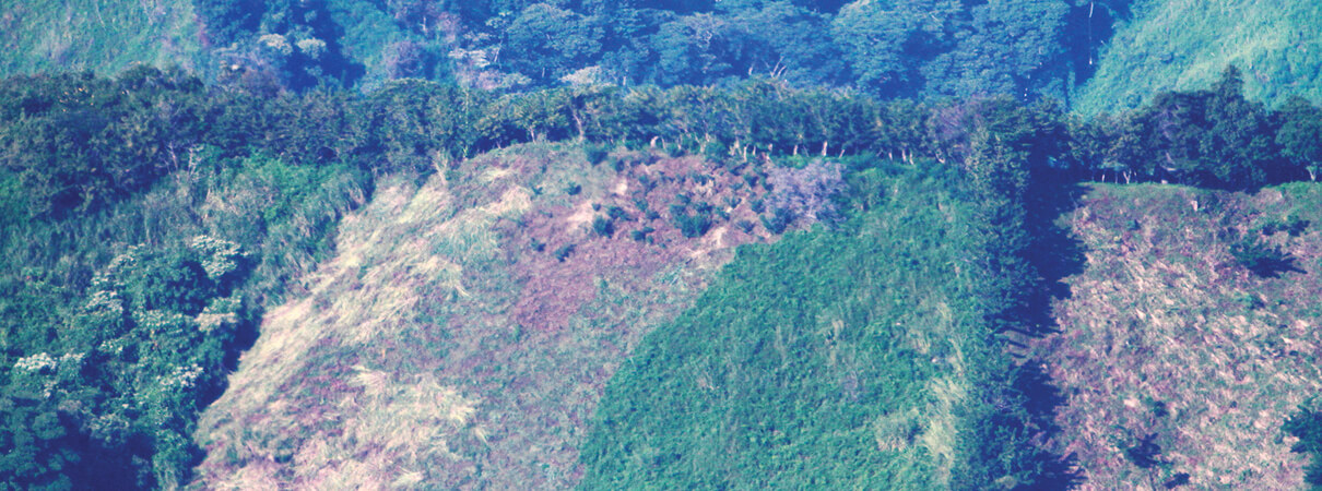 Deforestation — such as what can be seen on this denuded slope in Colombia — and other forms of habitat loss are leading threats to migratory birds, which rely on healthy habitats at both ends of their journeys as well as at one or more stopover sites along their migratory routes. Photo by Larry Thompson