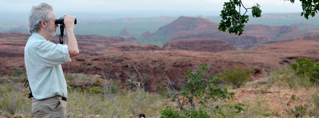 The Canudos Biological Stations — a Brazilian reserve supported by ABC and partner Fundação Biodiversitas — is one of only two known breeding sites for the Lear's Macaw. Here, George Fenwick scans for macaws, with the reserve's red sandstone cliffs and canyons visible in the background. Photo by David Harrison