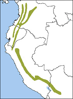 Grass-green Tanager map, NatureServe