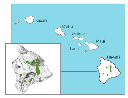 ʻAkiapolaʻau map, Cornell