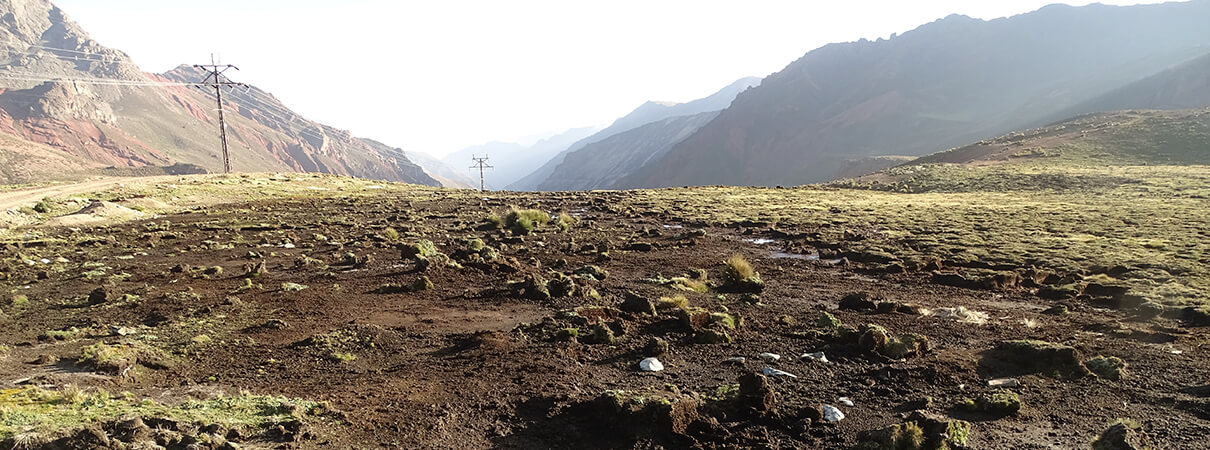 Destruction of bofedales by turf mining in the Peruvian Andes. Photo by Phil Tanimoto