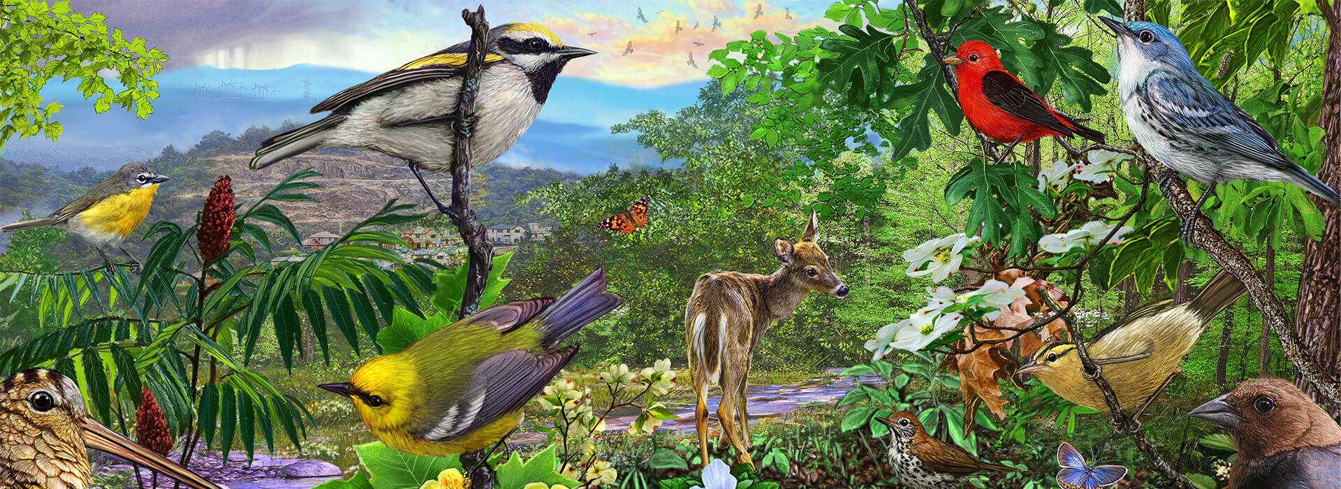 home is where the habitat is american bird conservancy home is where the habitat is american bird conservancy