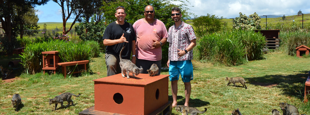 ABC's Grant Sizemore (right) poses with Lanai Cat Sanctuary Executive Director Keoni Vaughn (left) and Sanctuary Manager Mike X (middle) among several of the sanctuary's residents. Photo by Louisa Phillips