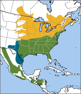 Eastern Bluebird map, NatureServe