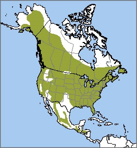 Hairy Woopecker map, NatureServe