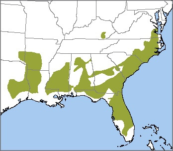 Red-cockaded Woodpecker map, NatureServe